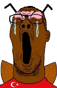 reaction soyjak turk.png
