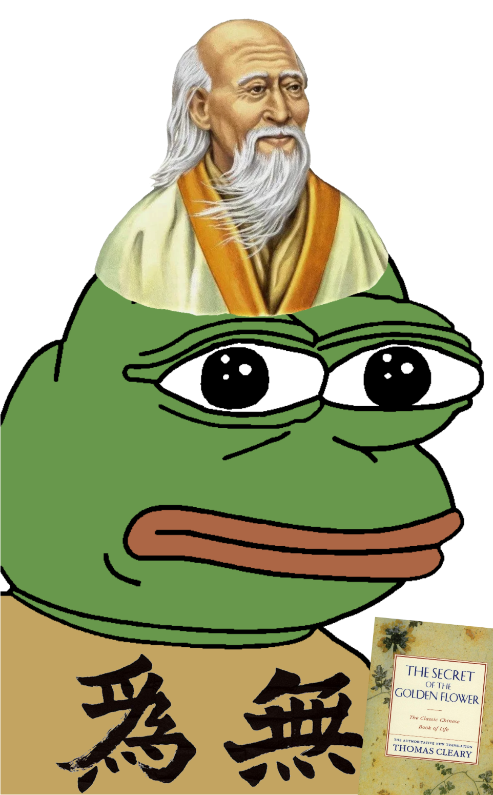 pepe, pepe hat, amphibian, animal, bald, book, china, chinese text, closed mouth, clothes
