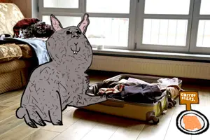 pancakes or something.png