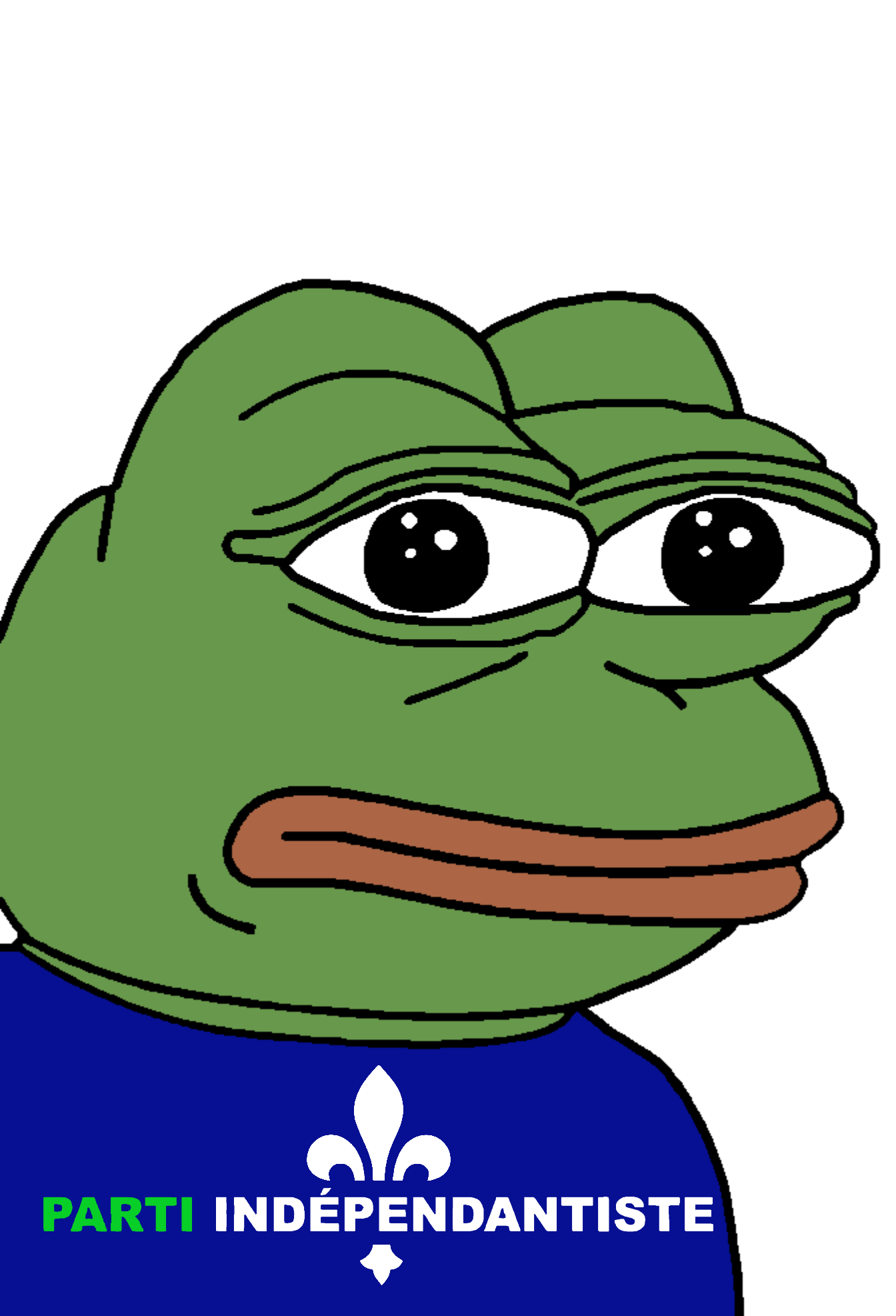 pepe, amphibian, animal, bald, canada, canadian, closed mouth, clothes, french canadian, frog