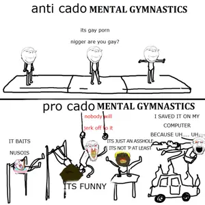 anti cado vs pro cado gymnastics.png