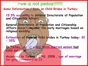 some-information-data-on-child-brides-in-turkey-l-315297241.png