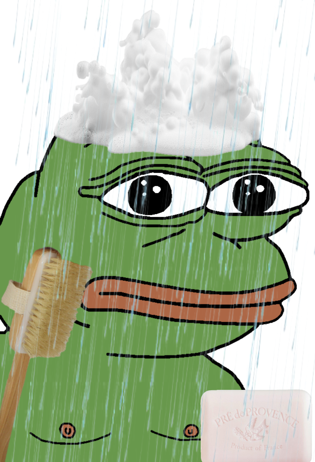 pepe, amphibian, animal, bald, brush, cleaning, closed mouth, clothes, foam, frog