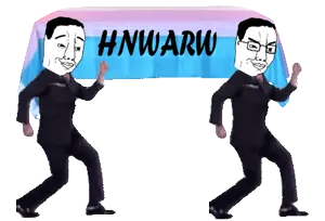 troon coffin dance looped.gif