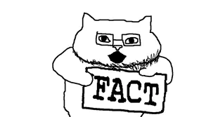 catjak, animal, cat, cat ears, catjak, ear, ears, fact, fact sign, glasses