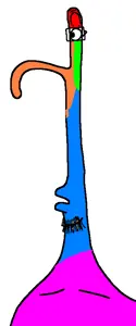 idiotdumb, colorjak, cobson killer, forehead lines, glasses, ias, long nose, nose, soyjak, stubble
