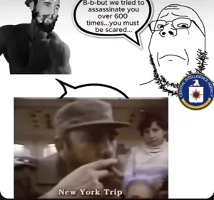 VID_20250816_103118_409.mp4