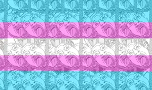 troonjak trans flag.png