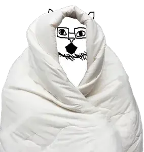catjakblanket.png
