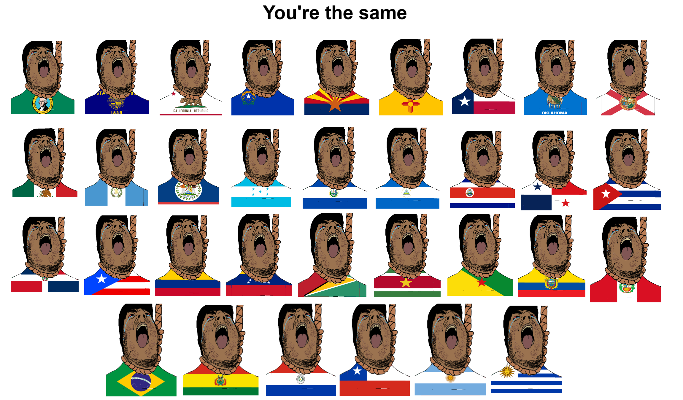 hydejak, argentina, arizona, beaner, belize, bloodshot eyes, bolivia, brazil, brown skin, california