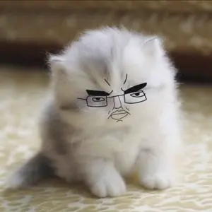 chudjak, pol face, animal, bushy eyebrows, cat, cat ears, closed mouth, ear, ears, fur