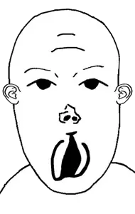 vlodson vaginaface.png