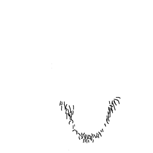 casnatus stubble.png