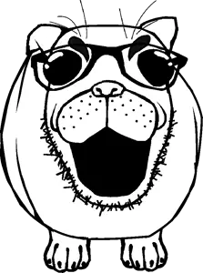 IMG_0771.png