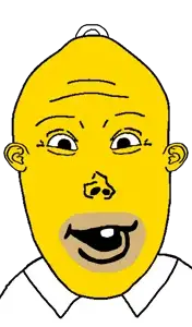 vlodson homer simpson.png