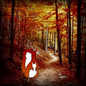 squirrel_calm_autumn.mp4