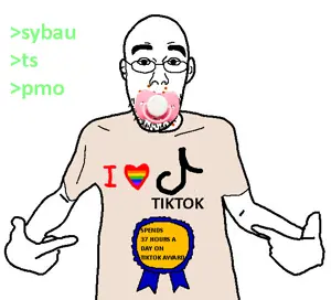 tikfaggot.png