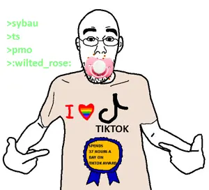 tikfaggot.png