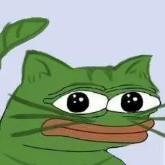 cat.jpg