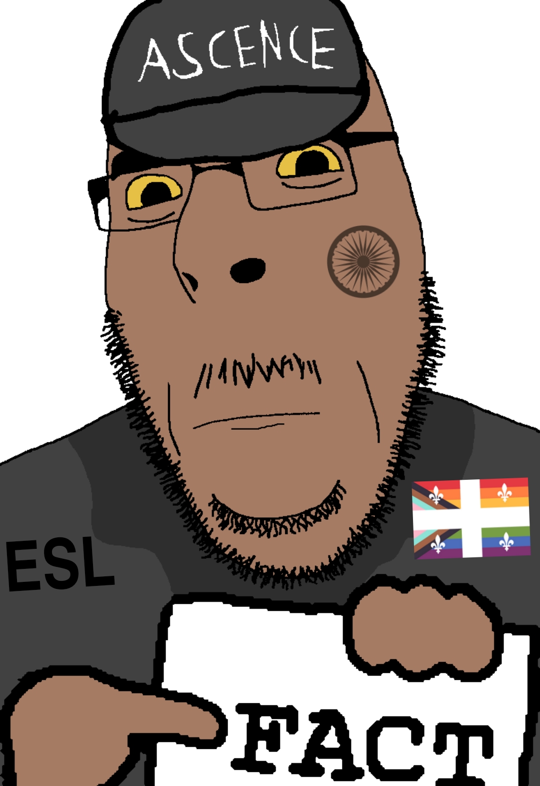 cobson, countryaryan fact!, ashoka chakra, brown skin, cap, closed mouth, clothes, esl, eyebrows, fact