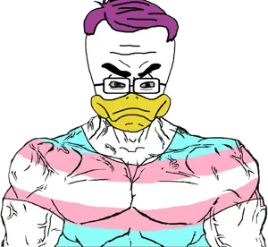 buffducktrans.png