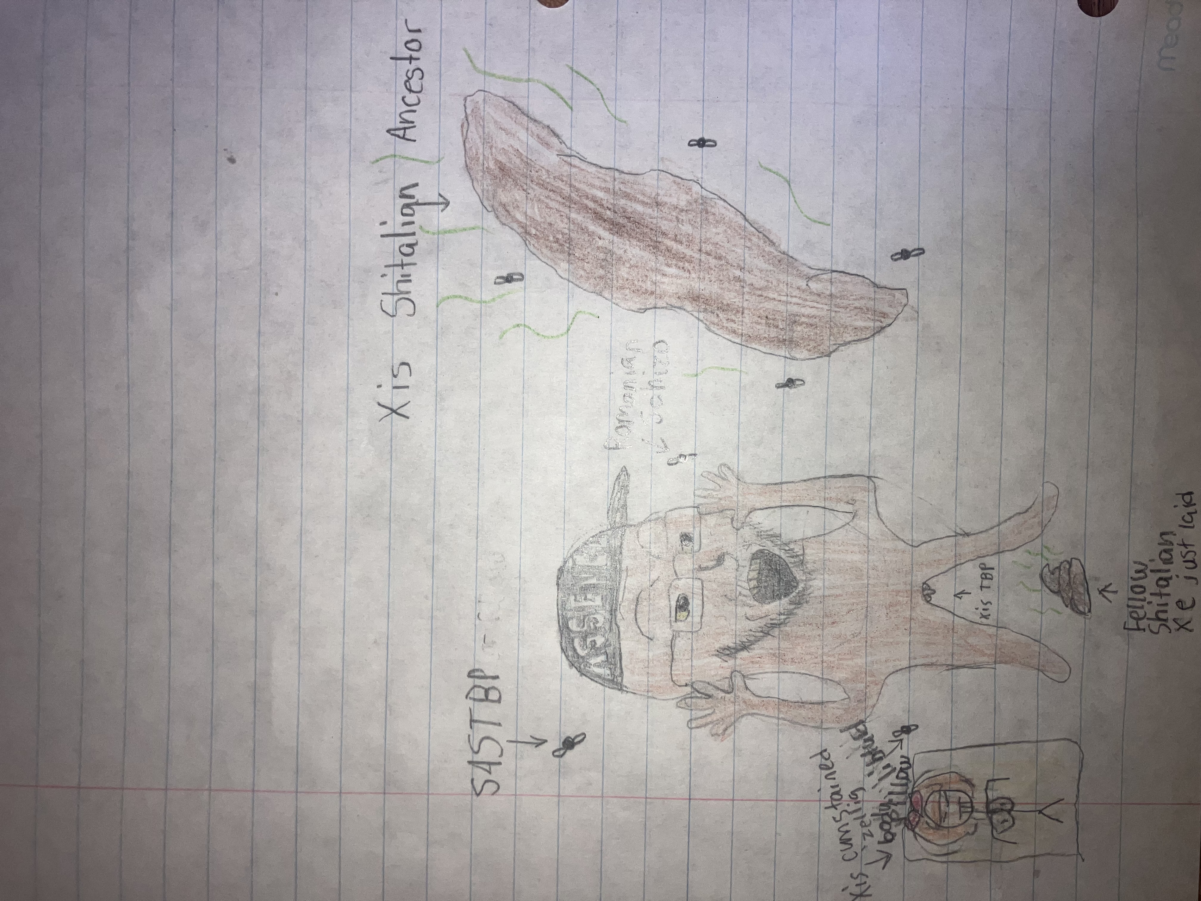 mymy schoppenboer, excited soyjak, soyak, fusionjaks, animal, body pillow, brown skin, bug, bugs, cap