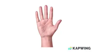 Petpet_Pet_the_X_Meme_Template_V1.mp4