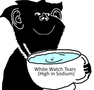 Capture d’écran 2025-08-01 020351.png