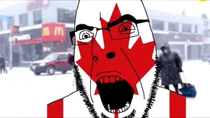 country's with soyjaks.mp4