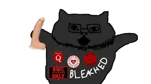 the bwc cat.png