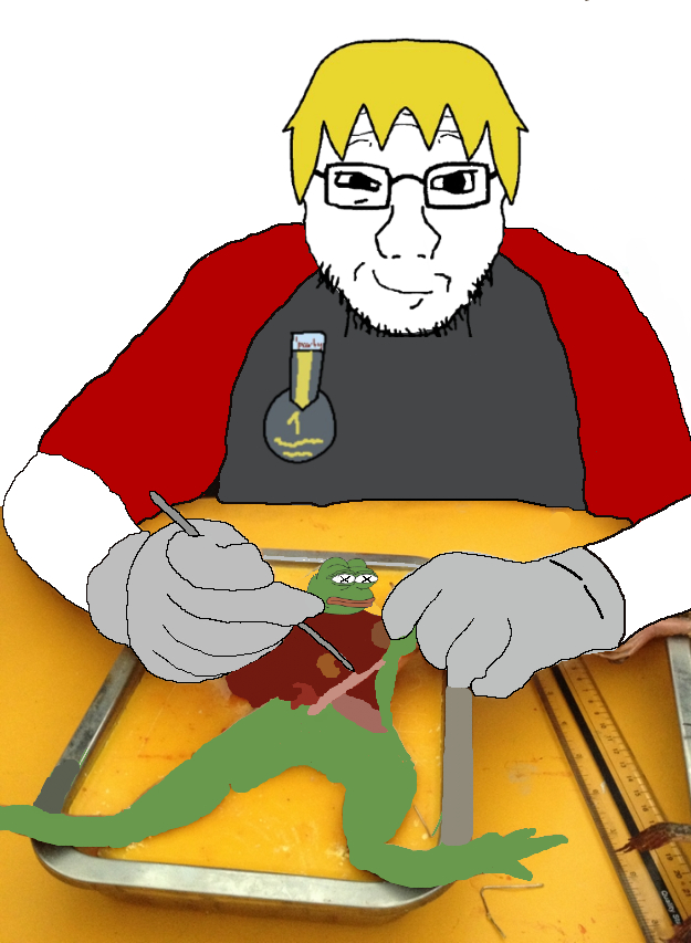 nate higgers, pepe, soyak, soyak front, natejak, amphibian, animal, blonde hair, dissection, frog