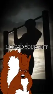 motivation_squirreljak.mp4