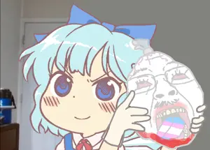 13491 - blood cirno death embodiment_of_scarlet_devil fairy meme political_commentary real_life soyjak tagme violence wtf.png