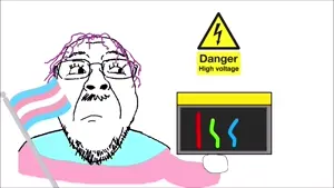 tranny electrocuted.mp4