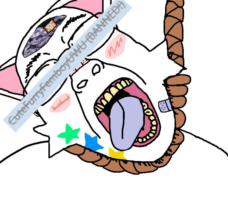 bernd, hanging troonjak, troonjak, colorjak, zillyjak, ack, antimatter, ban, band-aid, banned