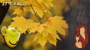 Its fall.mp4