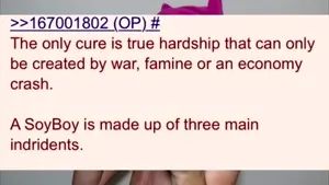 best of 4chan  Soy v Onion.mp4