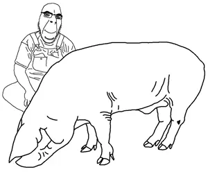 Cobson'sHog.png