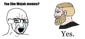 soyak, aryan, a10 eyes, aryan chad, crying, meme, text, white background