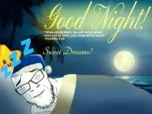 Goodnight Message.png