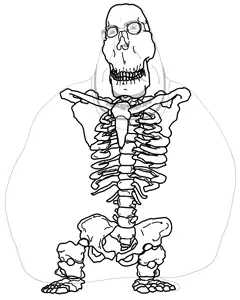 blobsonskelly (1).png
