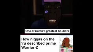 how people described warrior z.mp4