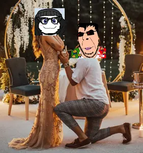 SOYTAN FAT SOYTAN EVIS HWABAG PROPOSAL ARYAN.png