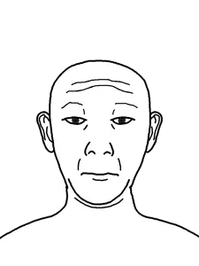 kuzjak, kuzjak front, frontjaks, 1soyjak, bald, black eyes, closed mouth, ear, front view, monochrome