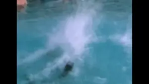 greg death scene.mp4