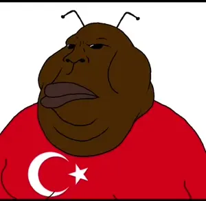 copy_F993182E-B433-4A7A-9401-FF4836735B67.mp4