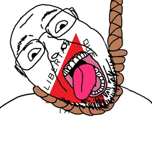 Minas Gerais_BernDSoyjak.png