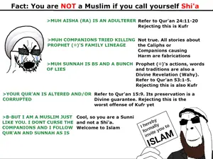 shias-arent-muslims.png