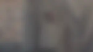 59845_-_SoyBooru.mp4