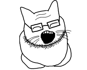 soycat.png